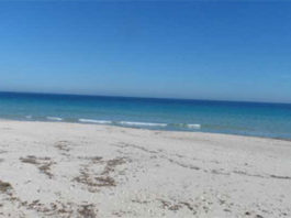 Tunisie : 23 plages interdites à la baignade cet été plages