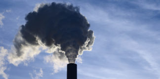 COP 22 : La société civile fait front contre le réchauffement climatique