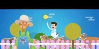 Assurances CTAMA votre partenaire en assurance agricole depuis 1912