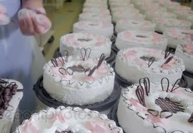 Demantelement D Une Usine De Fabrication De Gateaux Non Autorisee Et Non Conformes Aux Normes A Bizerte Sud African Manager