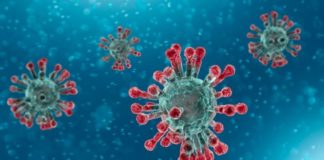 La COVID 19 et la santé sexuelle de la femme en débat le 07 août au siège de l’ONFP