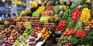 Niger : la vente des plants fruitiers en plein essor