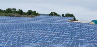 Algérie : Appel d’offres pour1 000 MW de centrales solaires