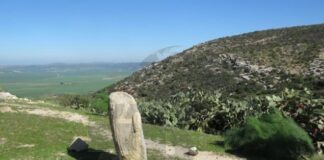 Manouba: Une statuette romaine en calcaire trouvée sur le site de Lansarine